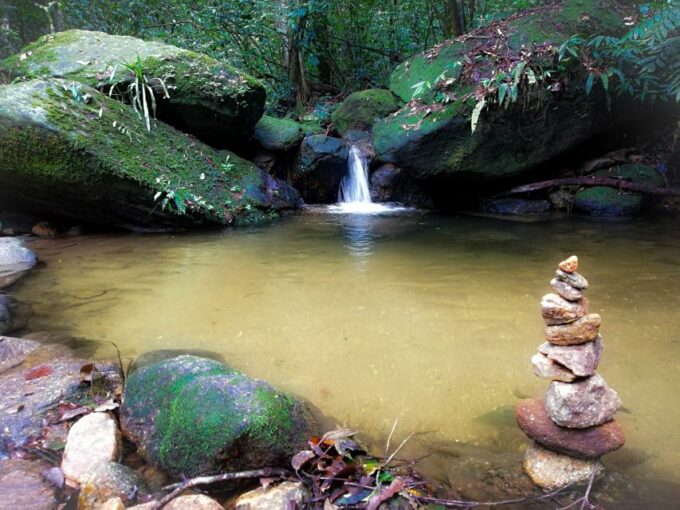 Rio De Janeiro: Tijuca Forest Waterfall of Souls Hike - Experiencing the Waterfall