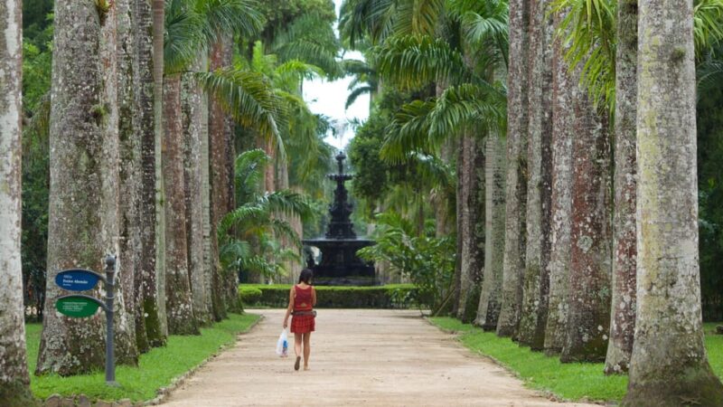 Rio De Janeiro: Tijuca National Park & Botanic Garden Tour - Scenic Viewpoints in Tijuca Park