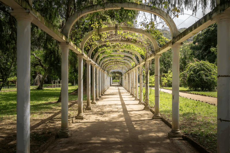 Rio De Janeiro: Tijuca National Park & Botanic Garden Tour - Wildlife in the Urban Jungle