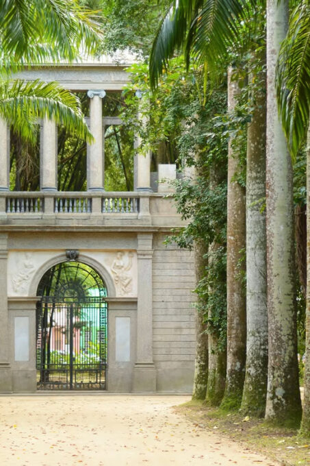 Rio De Janeiro: Tijuca National Park & Botanic Garden Tour - Diverse Flora and Fauna