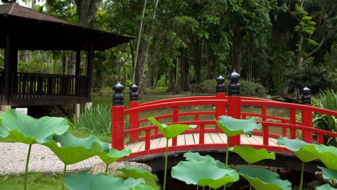 Rio De Janeiro: Tijuca National Park & Botanic Garden Tour - Accessibility and Transportation