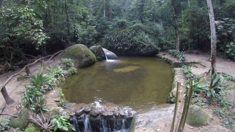Rio De Janeiro: Tijuca National Park Ecotour - Duration and Group Size