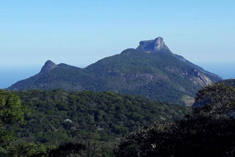 Rio De Janeiro: Tijuca National Park Ecotour - Itinerary