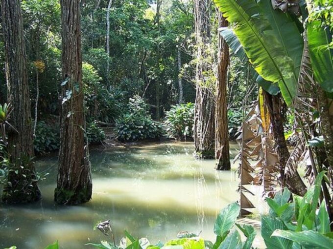 Rio De Janeiro: Tijuca National Park Ecotour - Pickup and Drop-off Locations