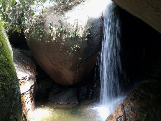 Rio De Janeiro: Tijuca National Park Ecotour - Exploring Tijuca National Park