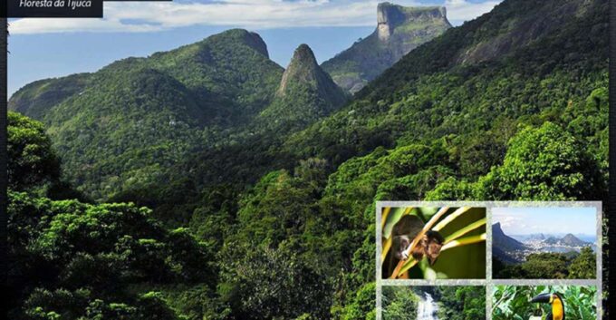 Rio De Janeiro: Tijuca National Park Ecotour - Scenic Viewpoints