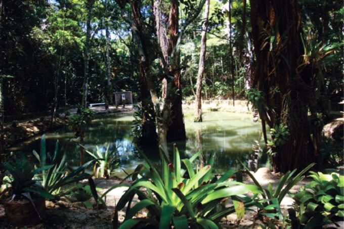 Rio De Janeiro: Tijuca National Park Ecotour - Frequently Asked Questions