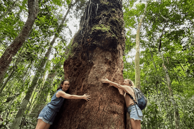 Rio De Janeiro: Tijuca National Park Tour - Key Points