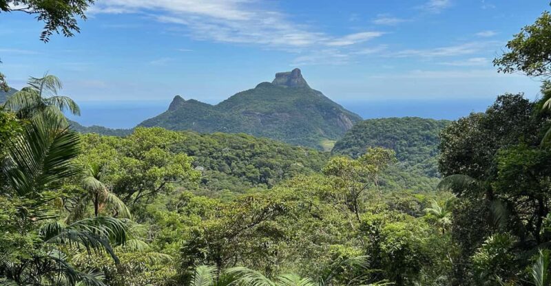 Rio De Janeiro: Tijuca National Park Tour - Detailed Itinerary