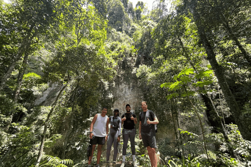 Rio De Janeiro: Tijuca National Park Tour - Included in the Tour