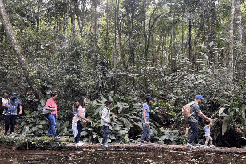 Rio De Janeiro: Tijuca National Park Tour - Required Items