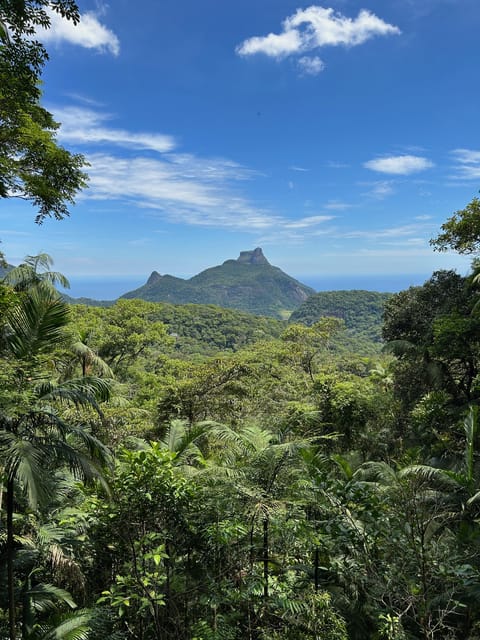 Rio De Janeiro: Tijuca National Park Tour - Frequently Asked Questions