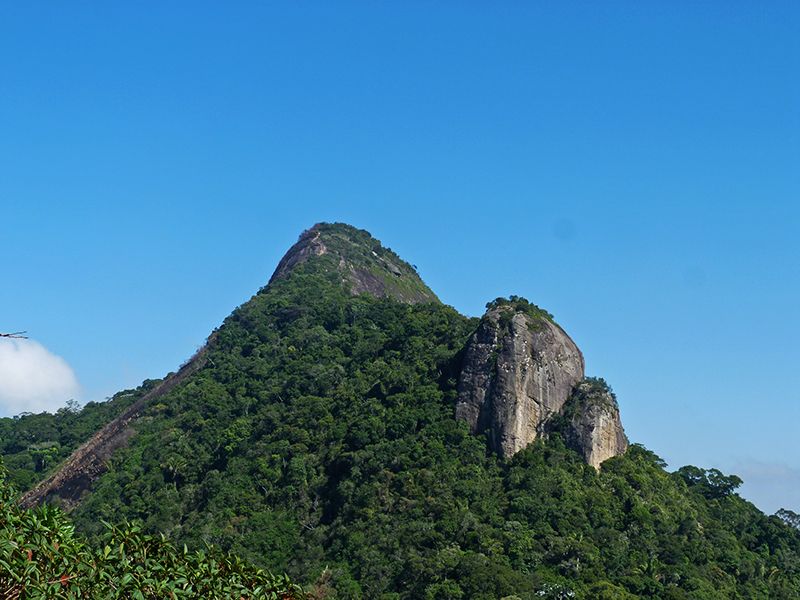Rio De Janeiro: Tijuca Peak Guided Hike - Breathtaking Views From Tijuca Mirim