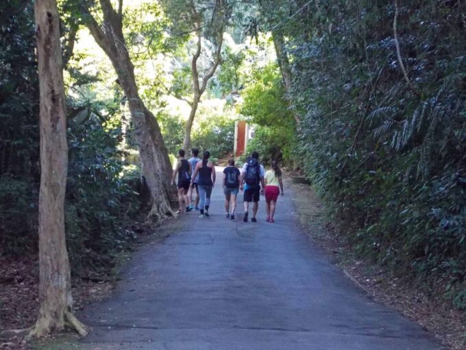 Rio De Janeiro: Tijuca Peak Guided Hike - Frequently Asked Questions