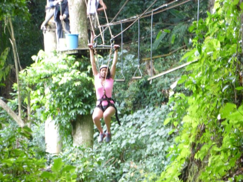 Rio De Janeiro: Zip Lining and Canopy Tree Tour - Nature Tree-Top Adventure