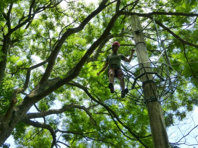 Rio De Janeiro: Zip Lining and Canopy Tree Tour - Hotel Pickup and Dropoff