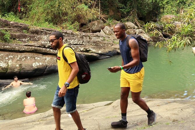 RIO GRANDE AREA PICKUP: Private Full-day Tour in Rainforest and Luquillo Beach - Rainforest Ecosystem Exploration