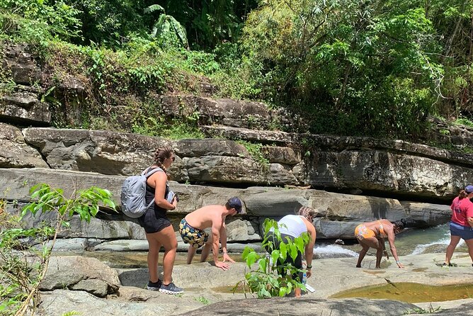 RIO GRANDE AREA PICKUP: Private Full-day Tour in Rainforest and Luquillo Beach - Luquillo Beach Relaxation