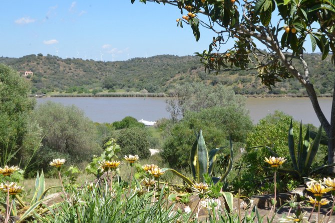 Rio Guadiana River Cruise - Lunch and Entertainment