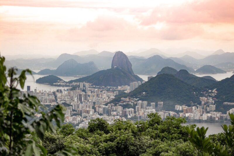 Rio: Half-Day Jeep Tour at Floresta Da Tijuca - Unique Flora and Fauna