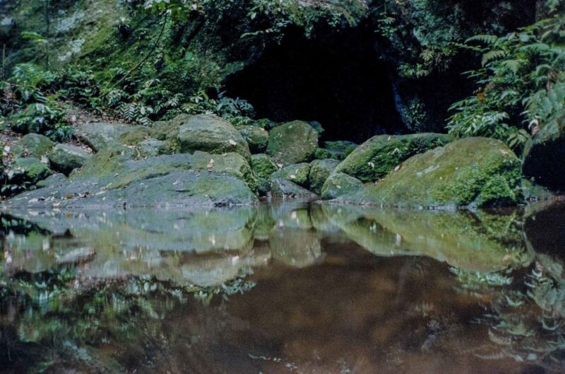 Rio: Half-Day Jeep Tour at Floresta Da Tijuca - Off-Road Adventure