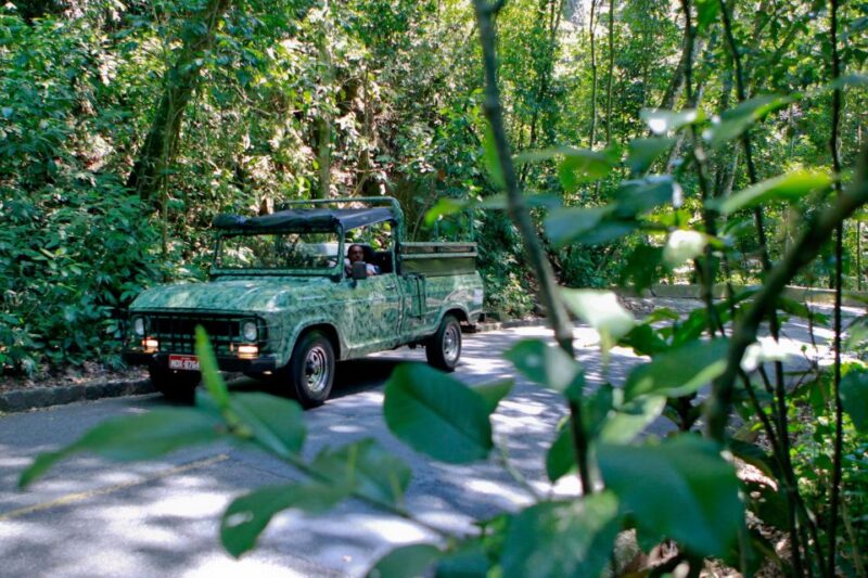 Rio: Half-Day Jeep Tour at Floresta Da Tijuca - Photogenic Stops