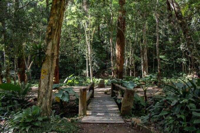 Rio: Half-Day Jeep Tour at Floresta Da Tijuca - Inclusive Transportation