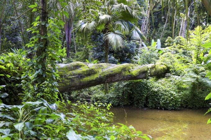 Rio: Half-Day Jeep Tour at Floresta Da Tijuca - Booking Flexibility