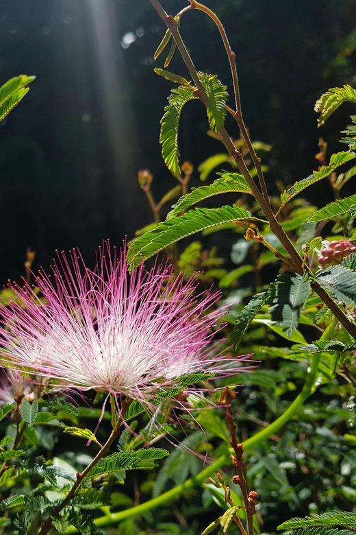 Rio: Hiking Adventure in Serra Dos Órgãos National Park - Key Points
