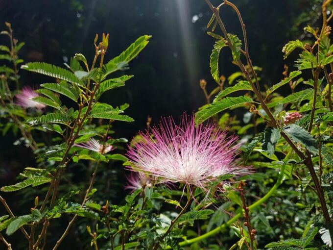 Rio: Hiking Adventure in Serra Dos Órgãos National Park - Inclusions and Exclusions