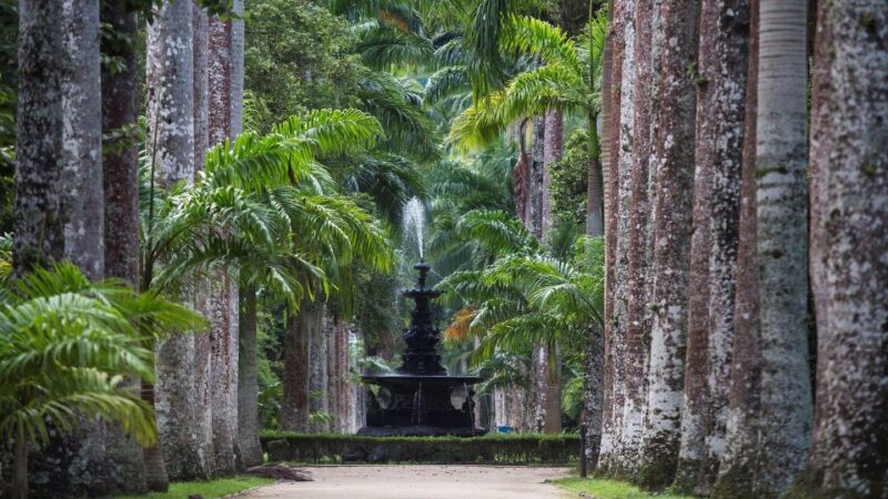 Rio: Jeep Tour 4 Wonders With Lunch - Included Meals and Tickets