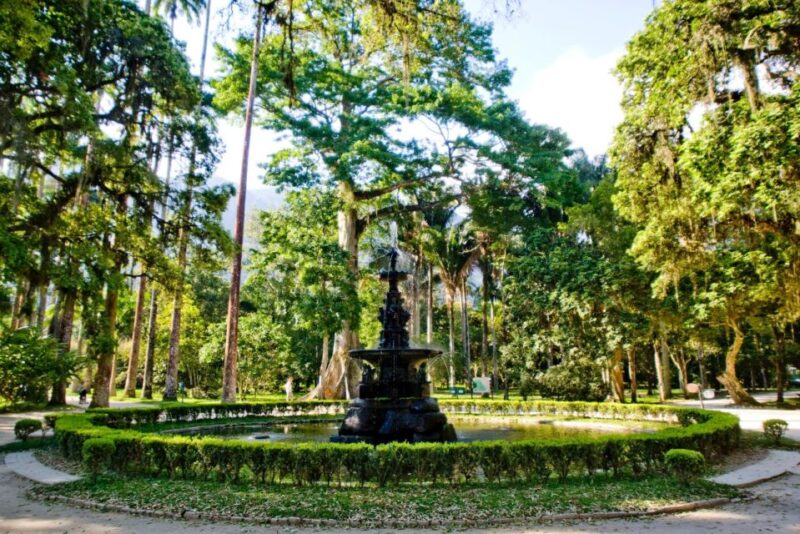 Rio: Jeep Tour to Botanical Garden and Tijuca Forest - Key Points
