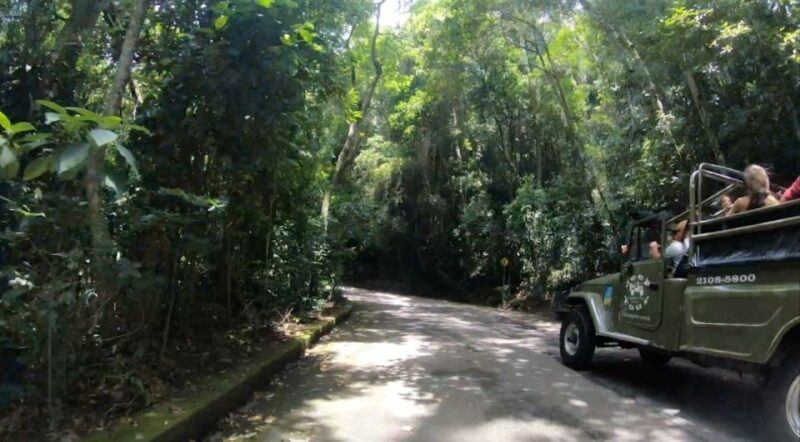 Rio: Jeep Tour to Botanical Garden and Tijuca Forest - Discovering Tijuca Rainforests Treasures