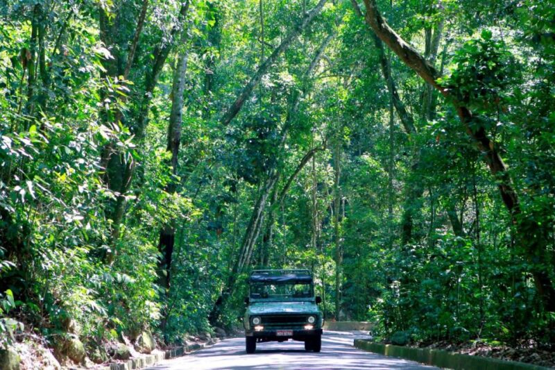 Rio: Jeep Tour to Botanical Garden and Tijuca Forest - Nurturing Exotic Plants Worldwide
