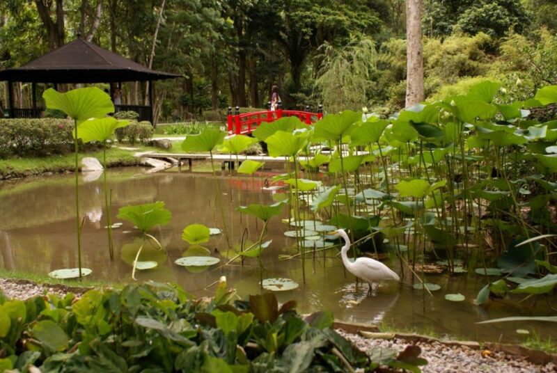 Rio: Jeep Tour to Botanical Garden and Tijuca Forest - Greenhouse With Orchid Species Galore