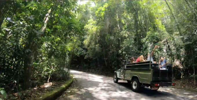 Rio: Jeep Tour to Botanical Garden and Tijuca Forest - Frequently Asked Questions