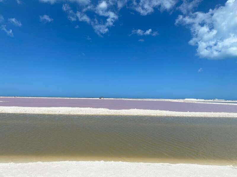 Rio Lagartos and Las Coloradas: EcoSafari Flamingo classic - An In-Depth Look at the Tour
