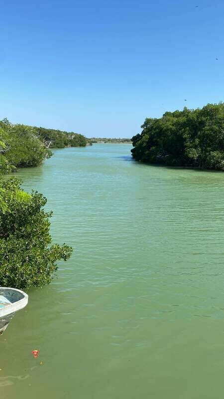 Rio Lagartos and Las Coloradas: EcoSafari Flamingo Luxury - Key Points