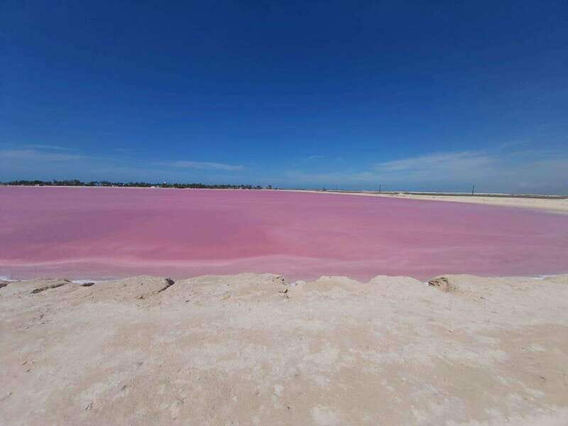 Rio Lagartos and Las Coloradas: EcoSafari Flamingo Luxury - The Experience on the Water