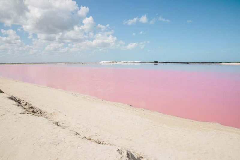 Río Lagartos and Las Coloradas: Natural Experience - An Authentic Wildlife Adventure