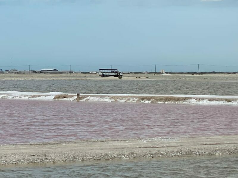 Río Lagartos and Las Coloradas: Natural Experience - Cultural and Relaxing Activities