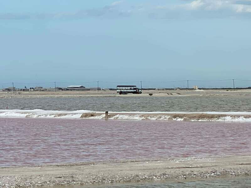 Río Lagartos and Las Coloradas: Natural Experience - Practical Details and Value