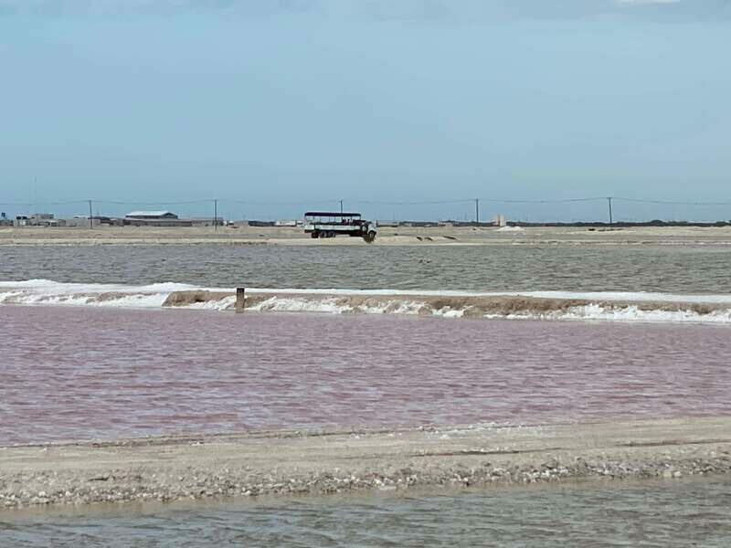 Río Lagartos and Las Coloradas: Natural Experience - An Experience Rich in Authenticity and Expertise