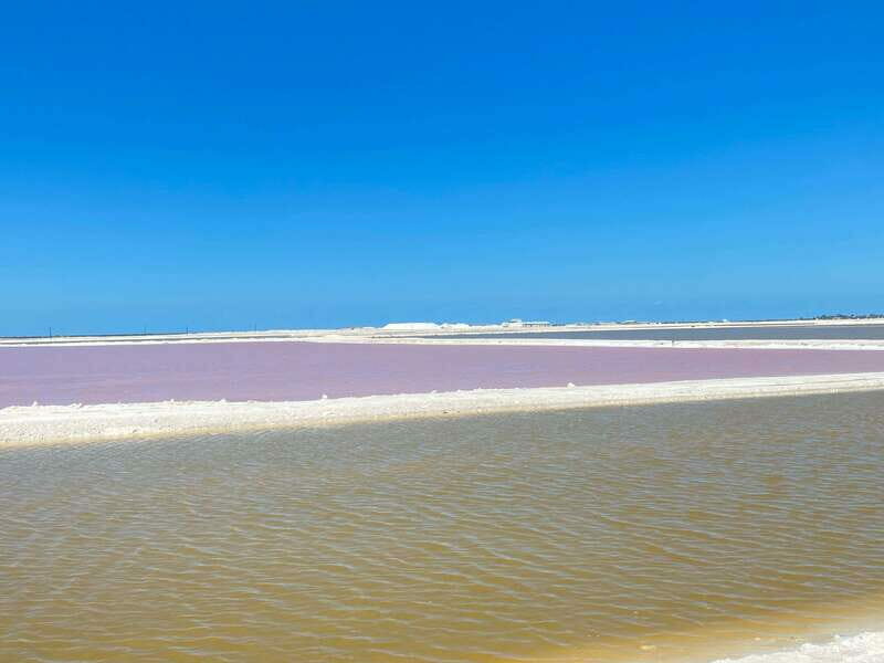Río Lagartos and Las Coloradas: Natural Experience - What’s Not Included
