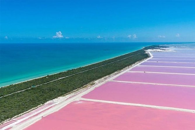 Río Lagartos and Las Coloradas Private Tour From Merida - Inclusions in the Tour
