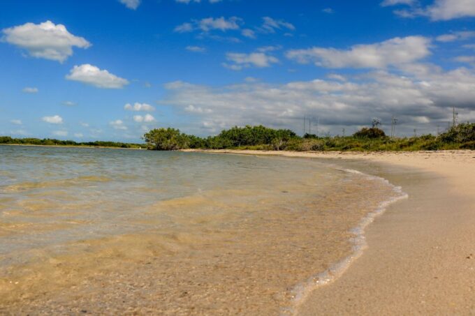 Rio Lagartos: Boat Tour Through the Nature Reserve - Participant Restrictions
