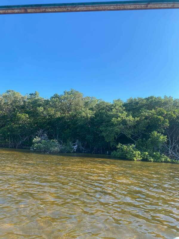 Rio Lagartos Expedition: boat journey through the mangrove - FAQ