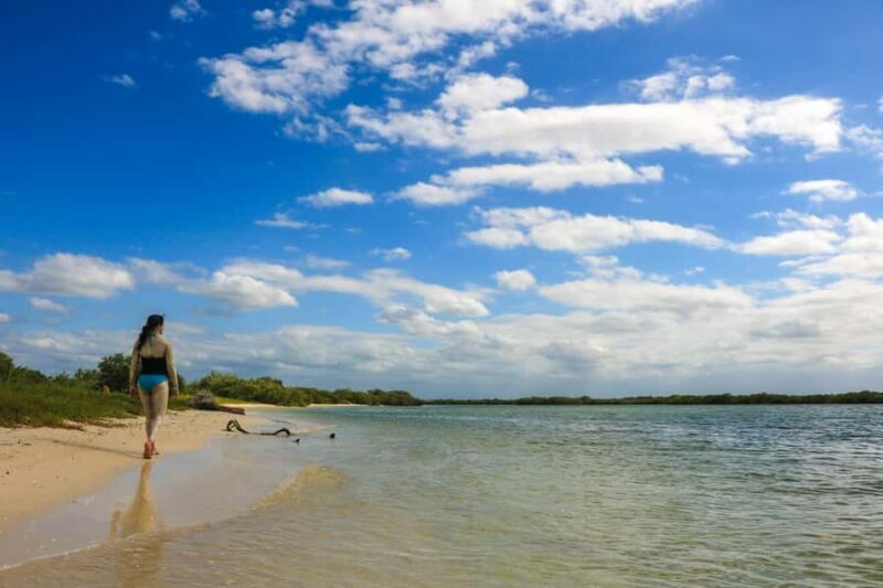 Rio Lagartos: Mangrove Tour and Mayan Bath (Natural Spa) - Frequently Asked Questions