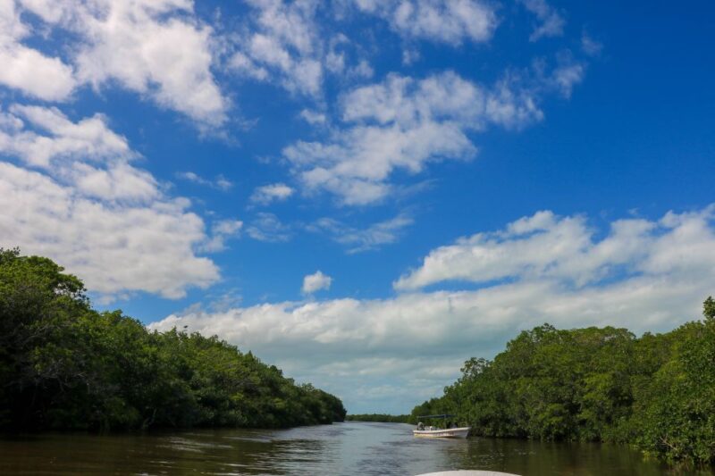 Rio Lagartos: River Boat Tour With Natural Mayan Bath - Getting to Rio Lagartos