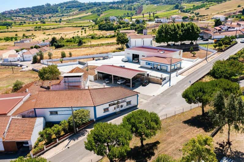 Rio Maior: Olive Oil Mill, Tastings and Natural Salines - Key Points